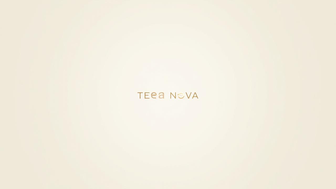 Terra Nova brand identity color palette, typography, and graphic elements